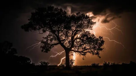 lightning.1.3954690