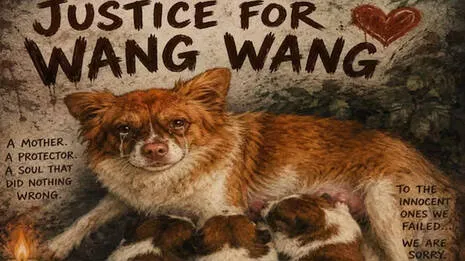 wang-wang.1.3956060