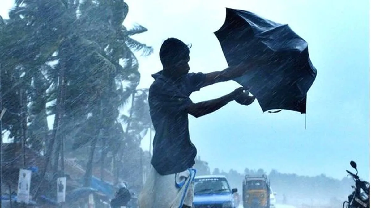 rain