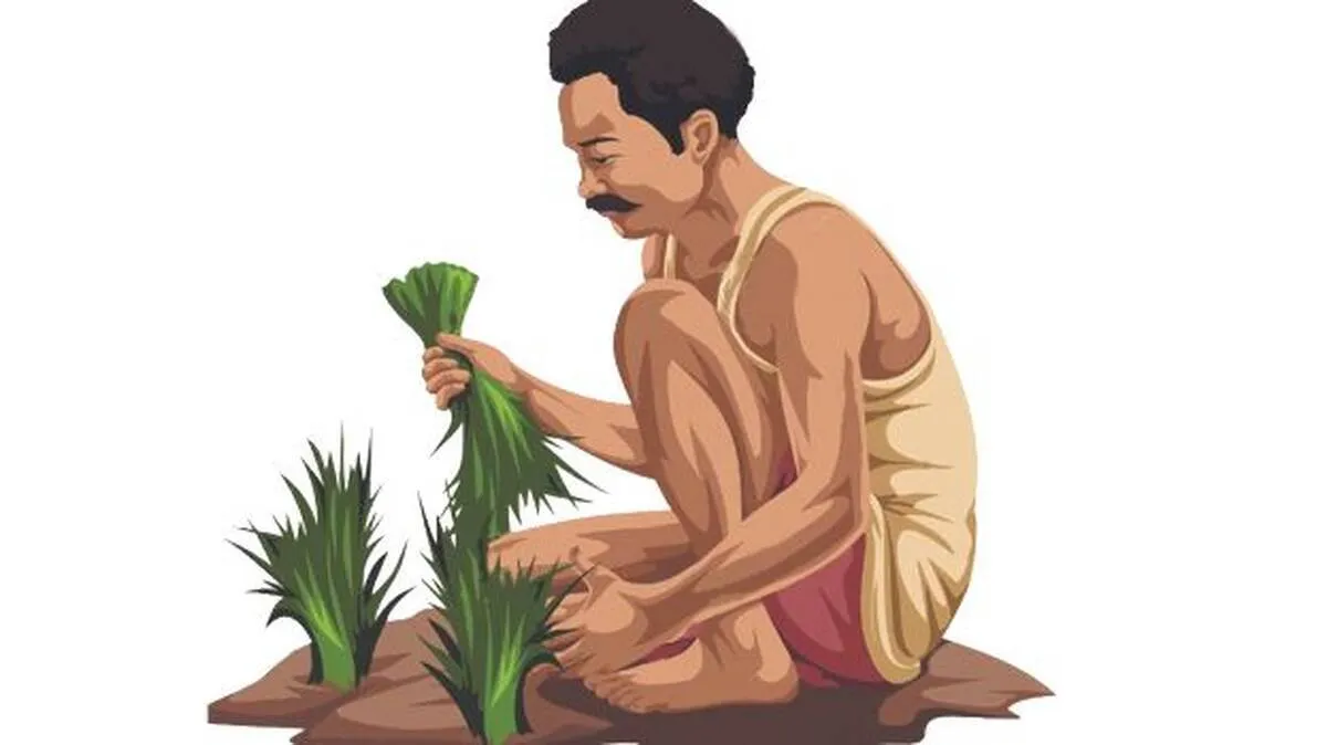 farmer