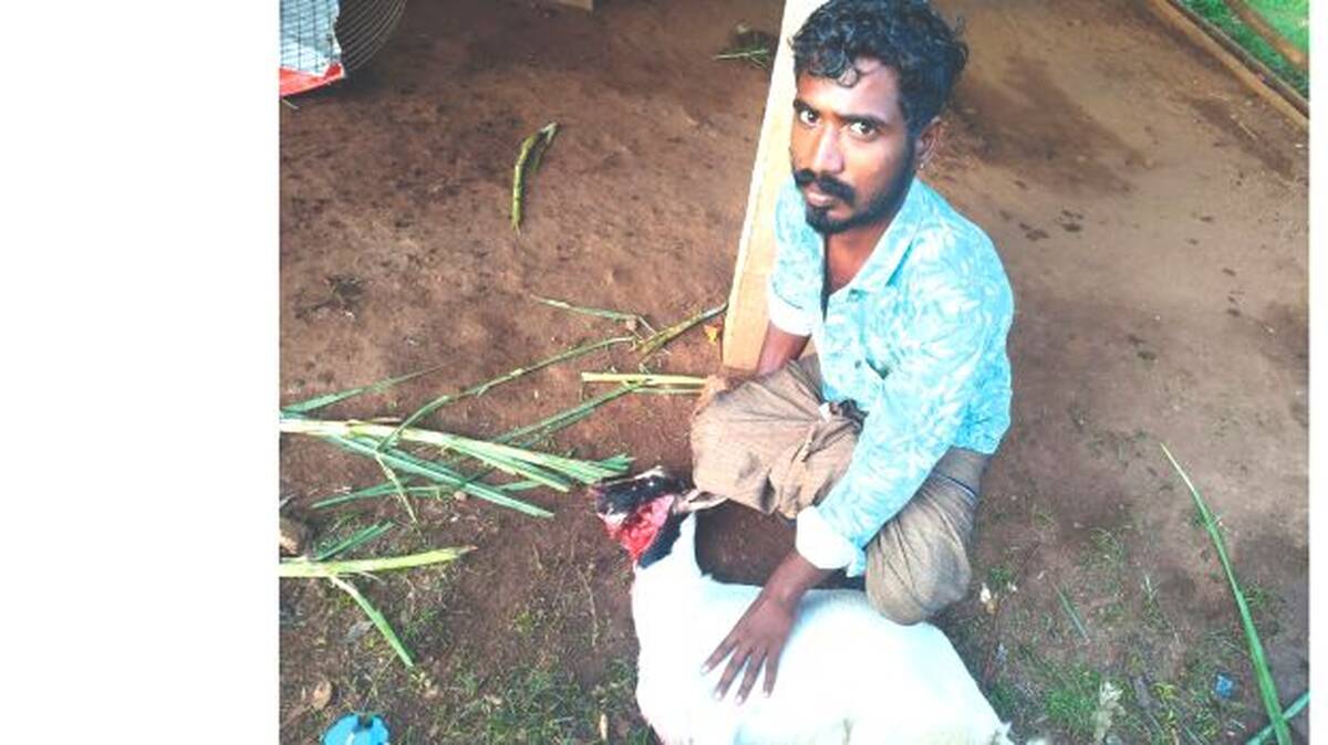 kaduva