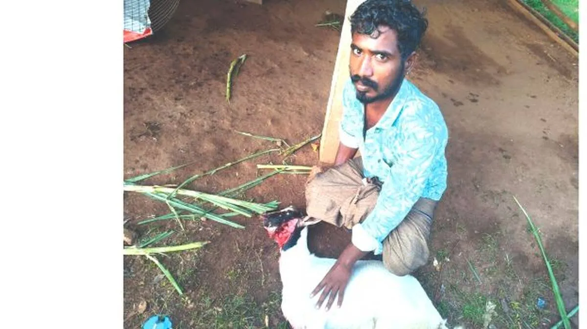 kaduva