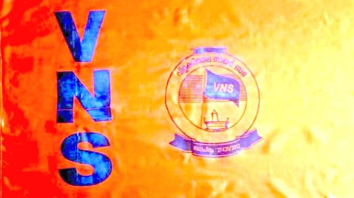 vns