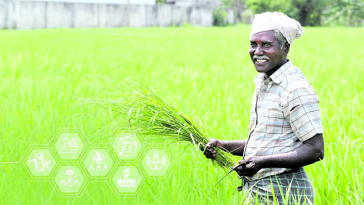 farmer