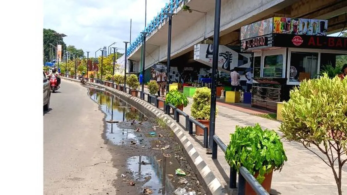 വി- പാർക്കിനരികിൽ
വിട്ടൊഴിയാത്ത ദുരിതം
