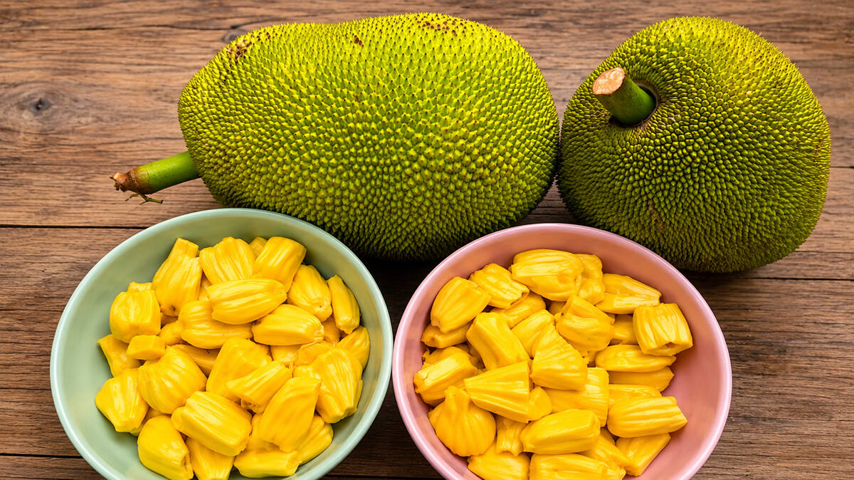 jack-fruit-