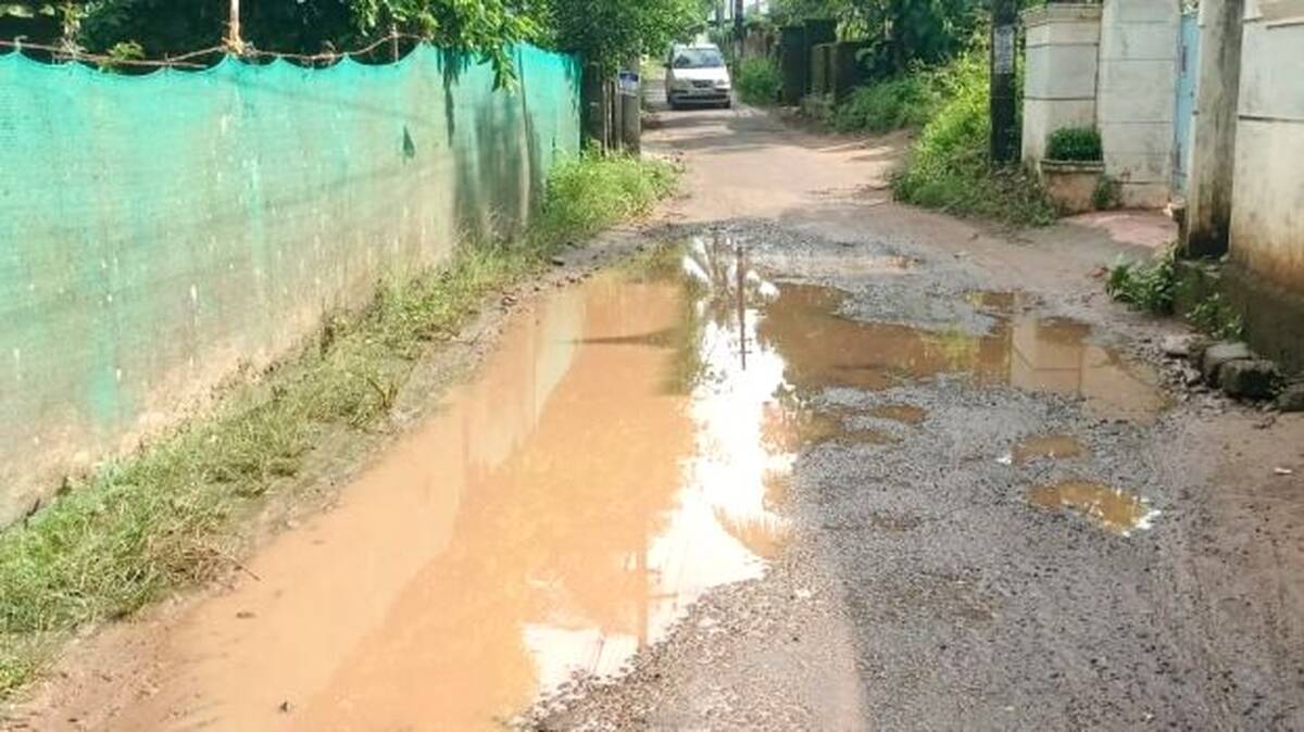 pavayil