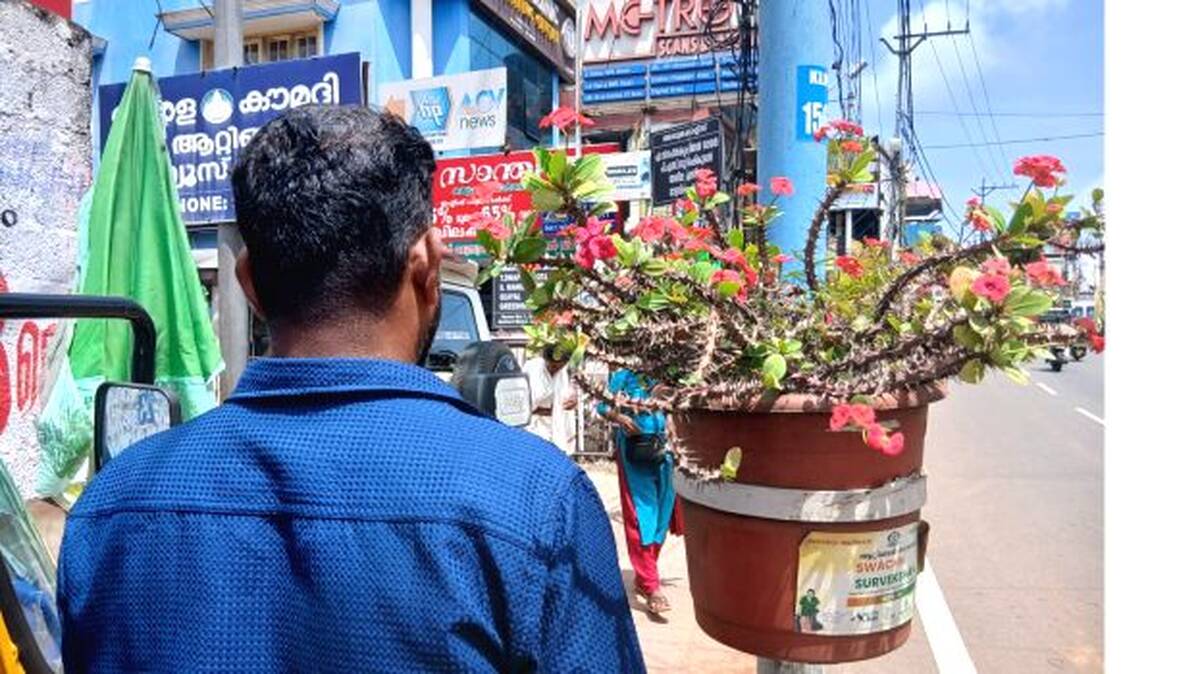 mulchadi