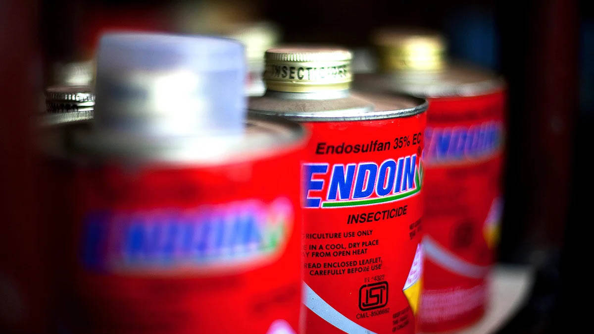 endofan-