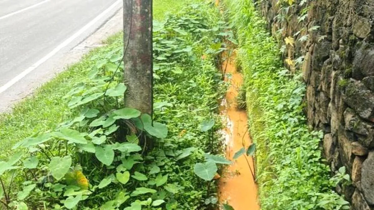 drainage-