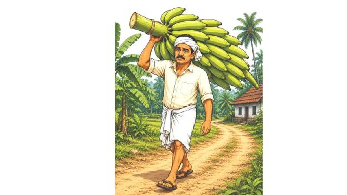 banana