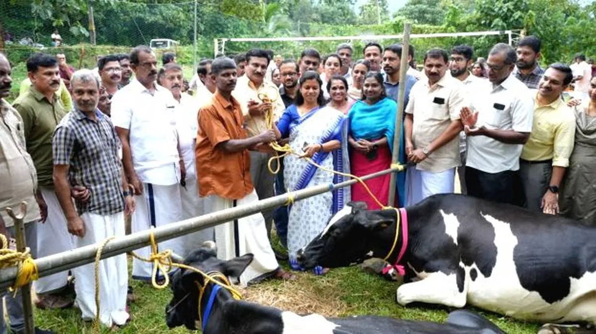 cow