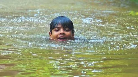 swim.1785859370