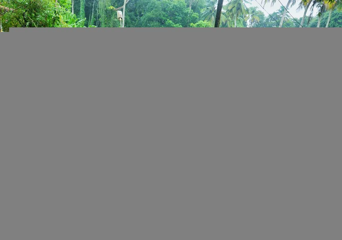 Kerala Kaumudi Photo Gallery