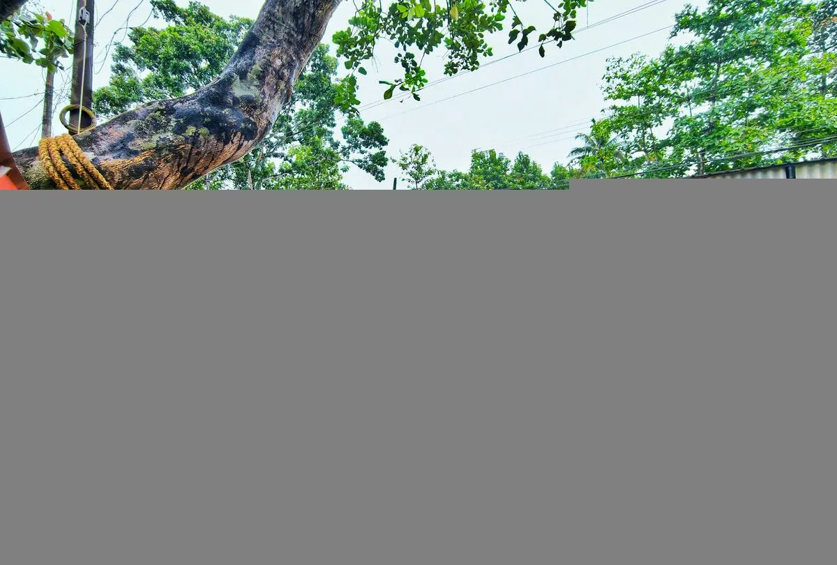 Kerala Kaumudi Photo Gallery