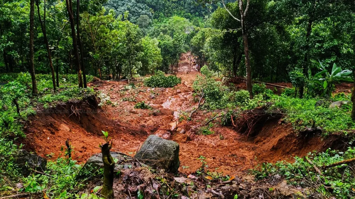ഈരാറ്റുപേട്ട പൂഞ്ഞാർ പയ്യാനിത്തോട്ടത്ത് രണ്ടുപേരുടെ മരണത്തിനിടയായ ഉരുൾ പൊട്ടലിൻ്റെ ഉത്ഭവസ്ഥാനം.  ഫോട്ടോ: സെബിൻ ജോർജ്ജ്