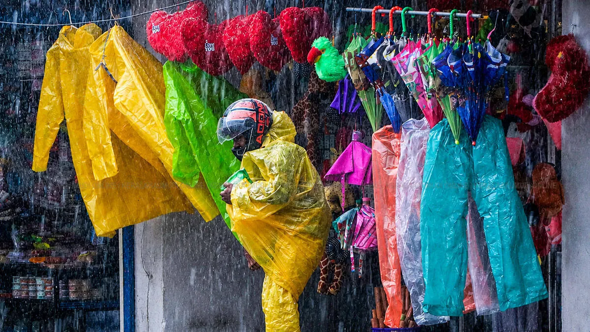 rain