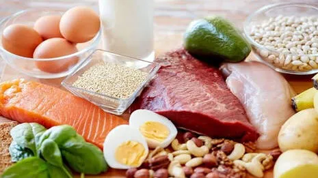 protein.1.3960619