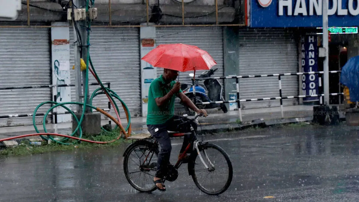 rain-