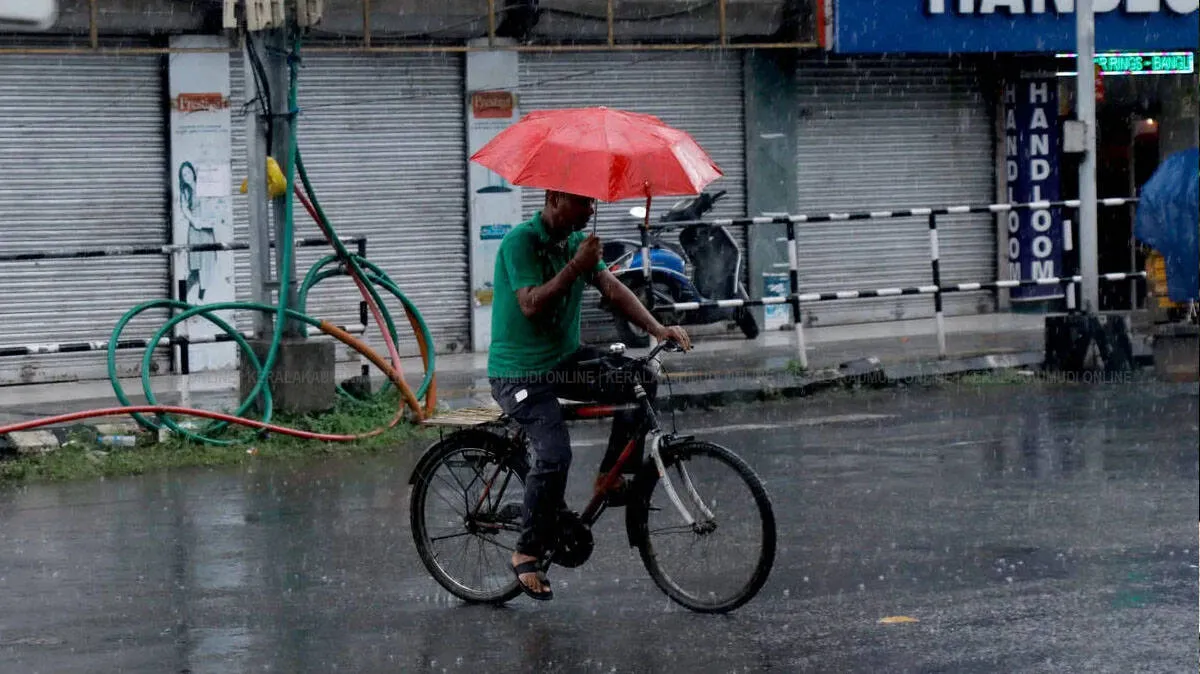 rain