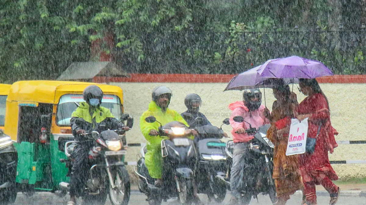 rain