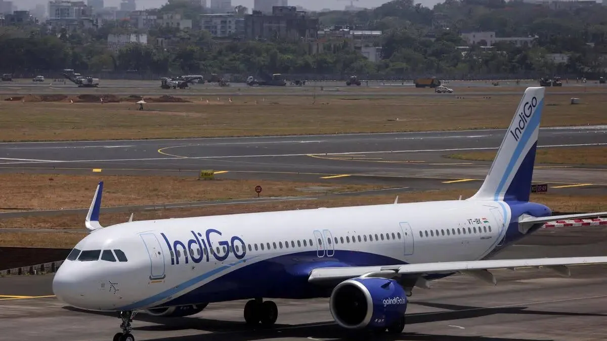 indigo