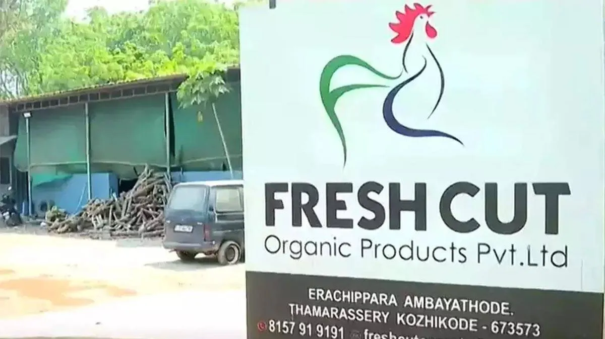 fresh-cut-plant-