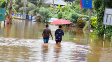 african-giant-snails-spread-across-kerala-damaging-crops-during-monsoon