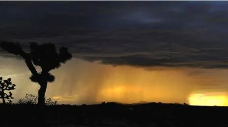 rain.1606561959
