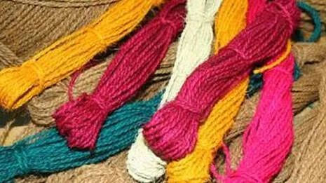 coir-.1.3998452
