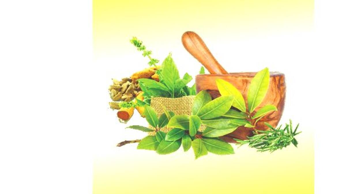 ayurveda