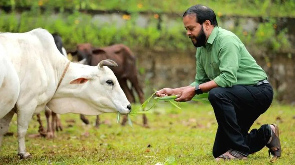 ചിങ്ങത്തിൽ കണികാണാൻ   പുങ്കന്നൂർ പൂവാലി വാടകയ്ക്ക്