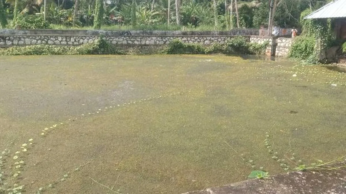attakulam