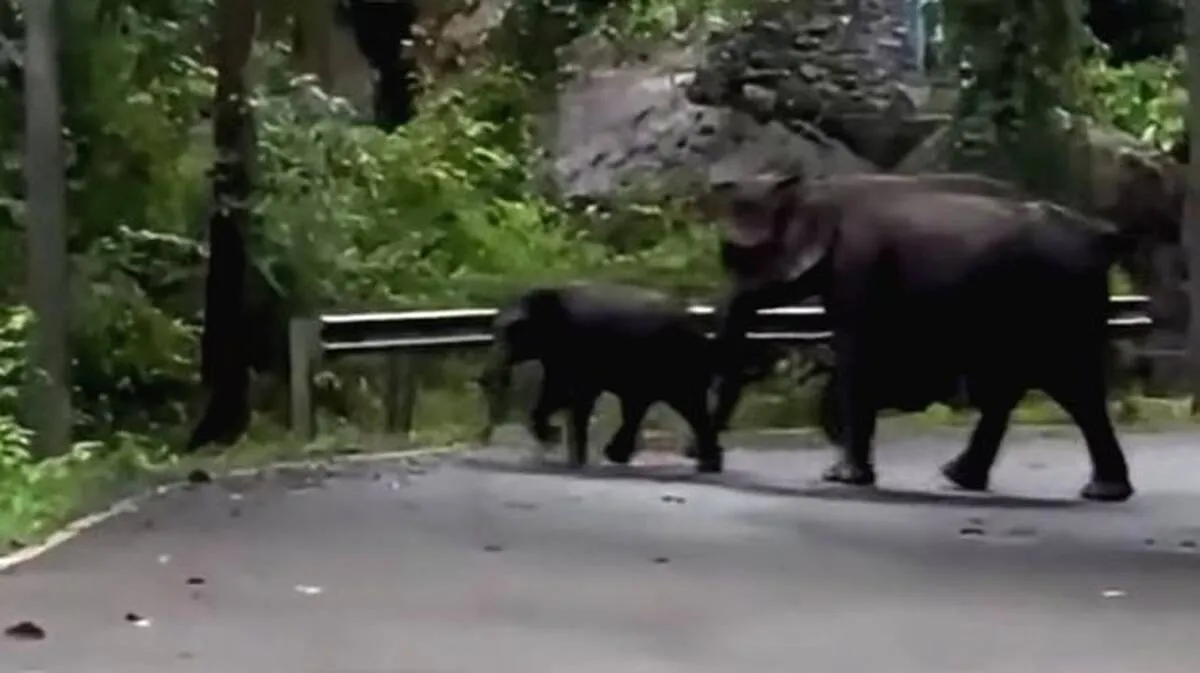 photo-1 photo-1