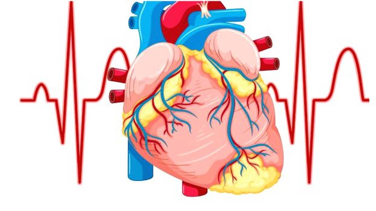 heart