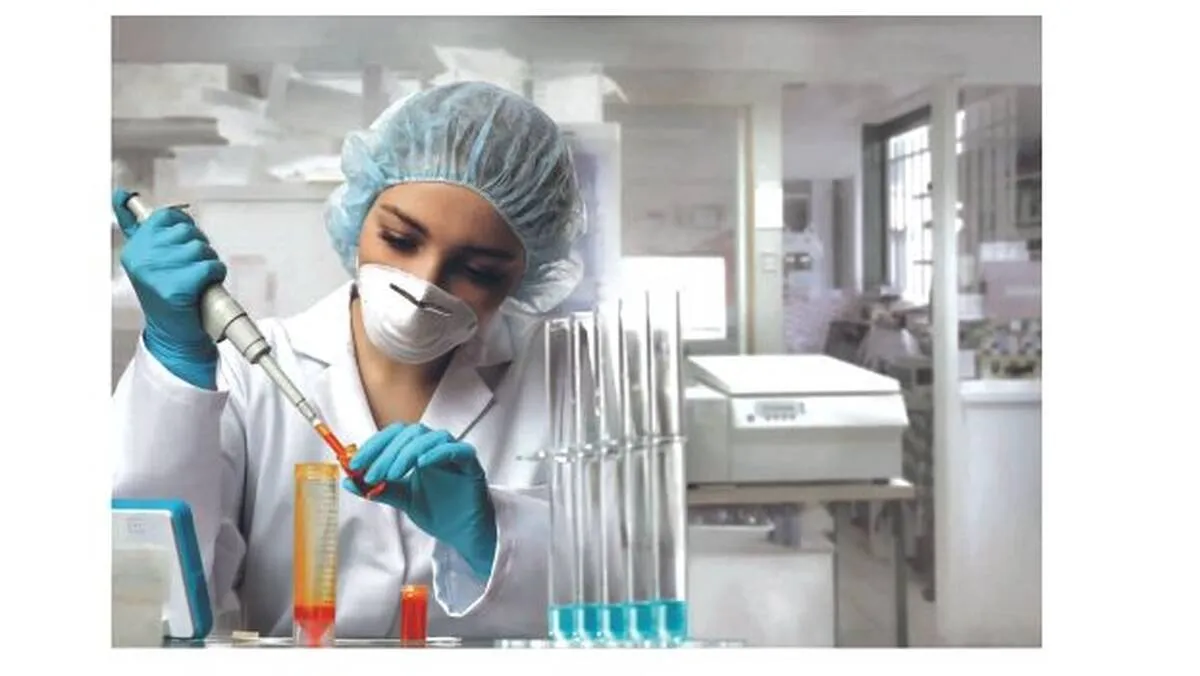 lab