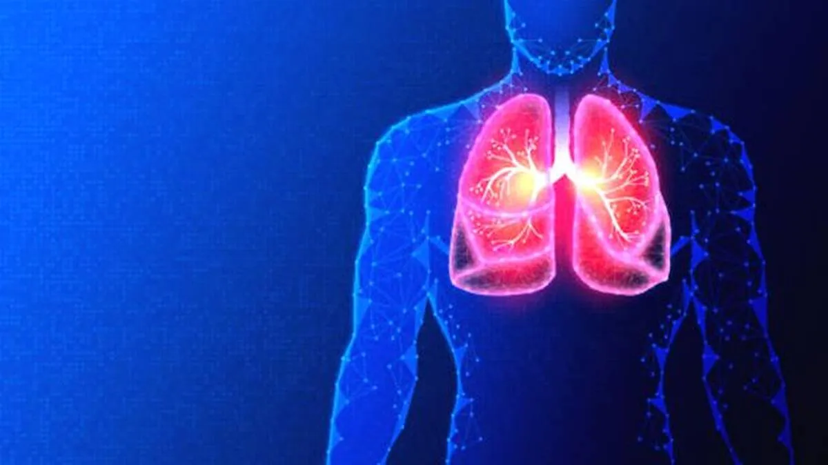 lungs
