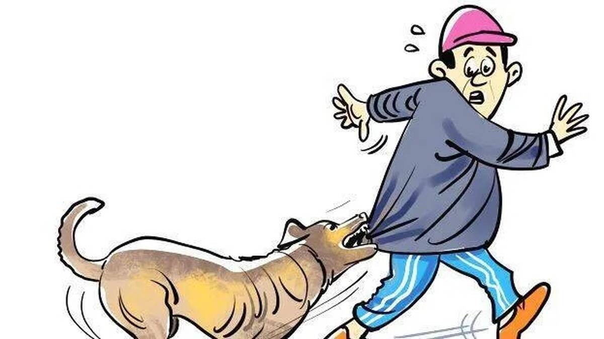 dog