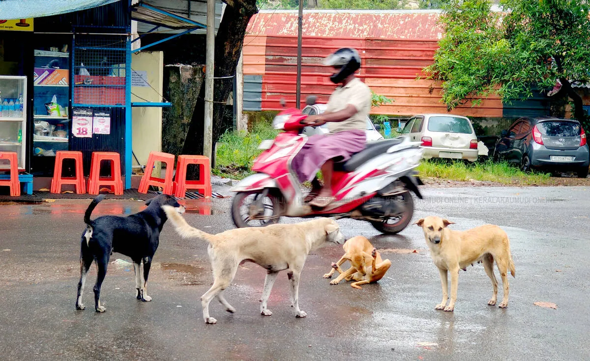 Kerala Kaumudi Photo Gallery