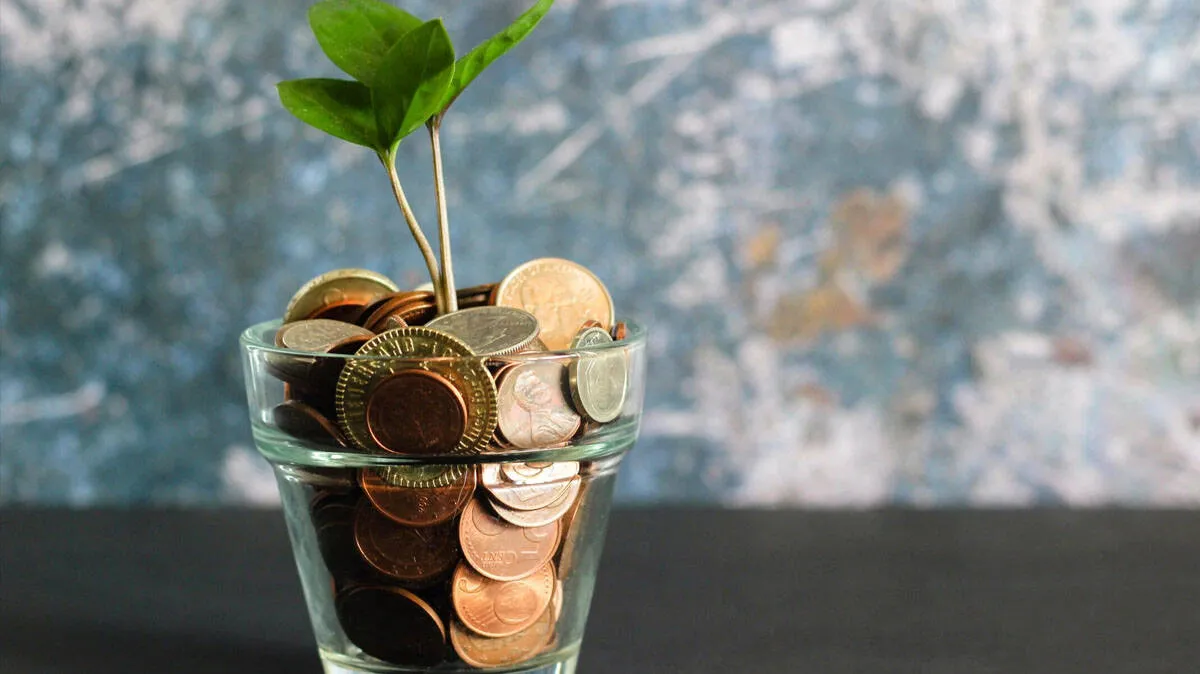 money-plant