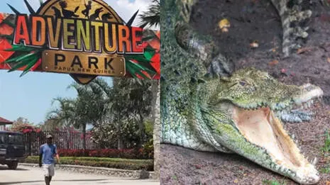 crocodile.1.4013606
