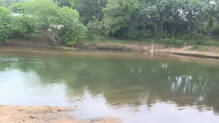 konni-achankovil-river-student-death