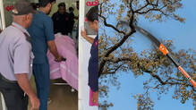 kseb-pole-hits-elderly-woman