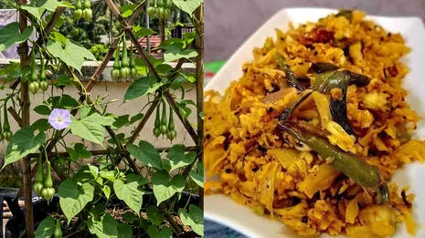 nithya-vazhuthana.1.4025604