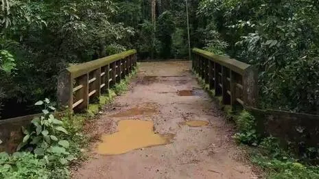 ponmudi-route.1789718714
