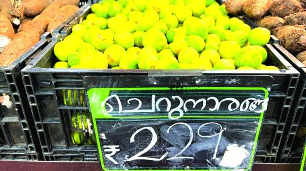 lemon-