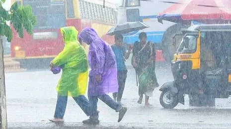 rain.1.4029933