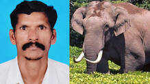 vijayan
