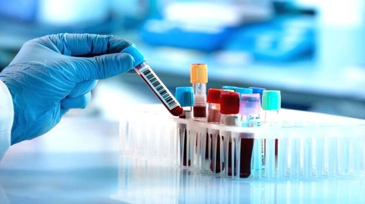 lab