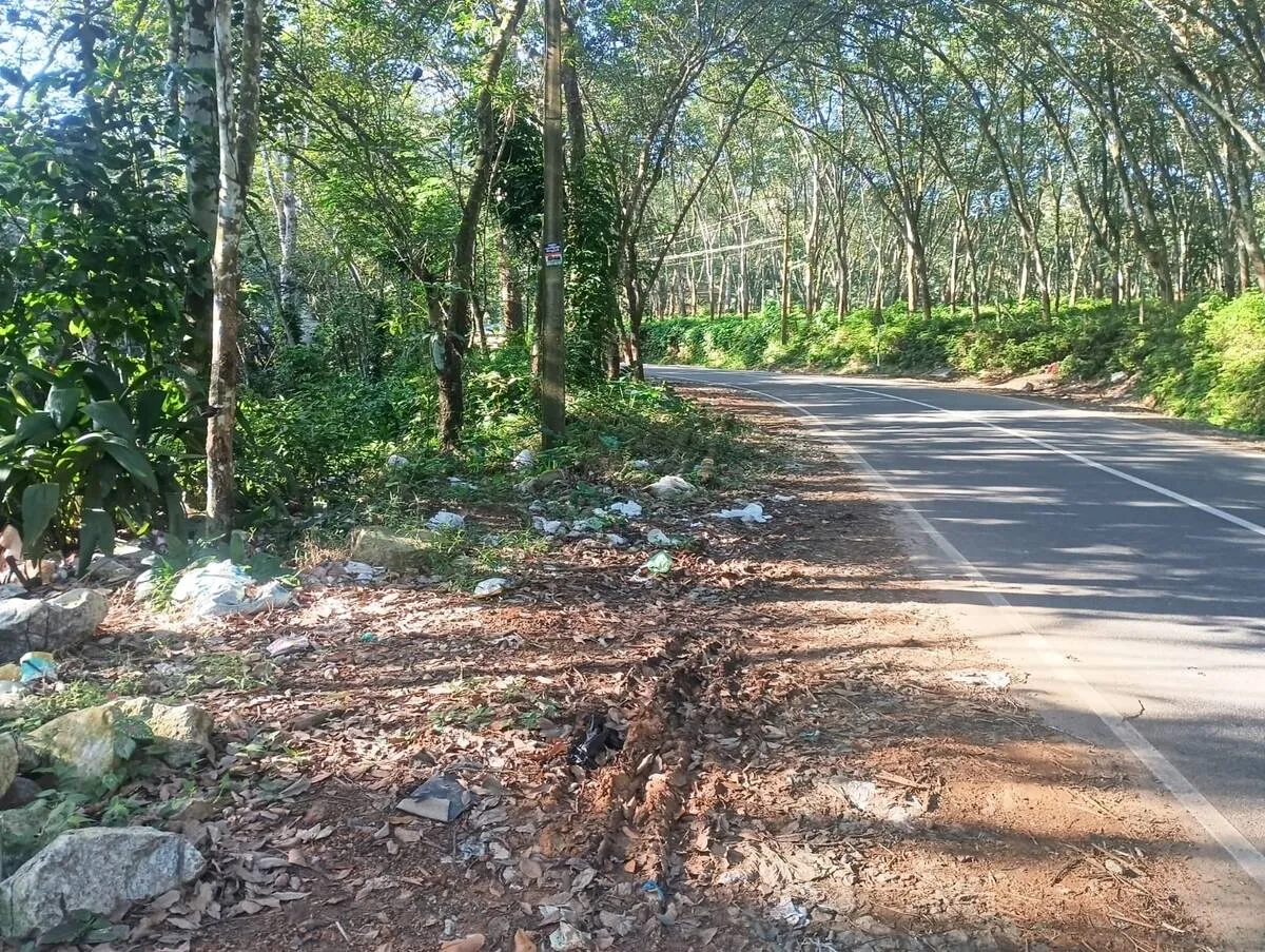 malinyam